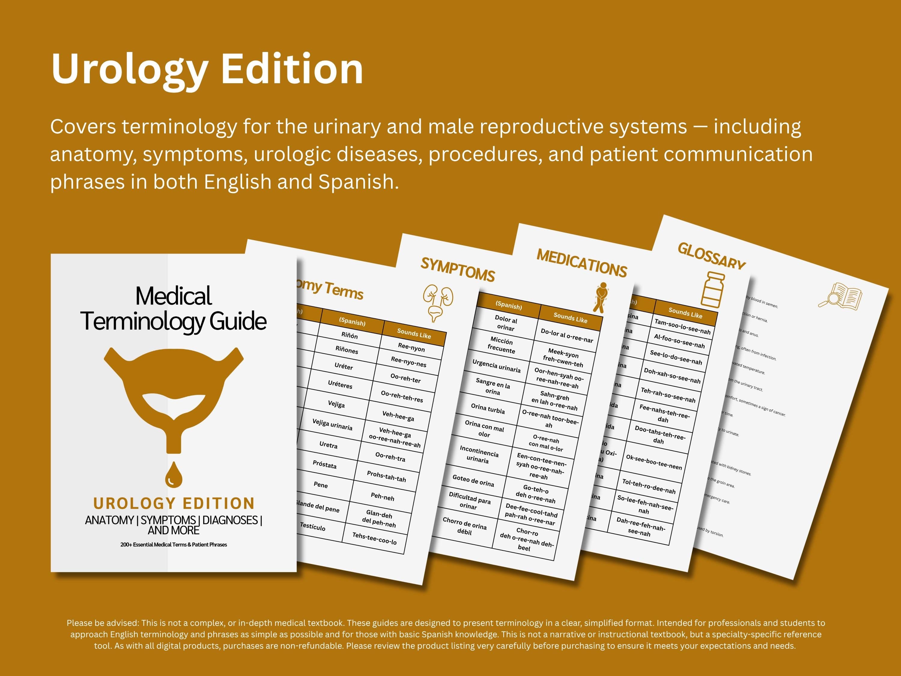 Women’s Health Study Guide Bundle: OB-GYN, Endocrinology & Diabetes, Urology and Nutrition Medical Terminology Guides in English Spanish