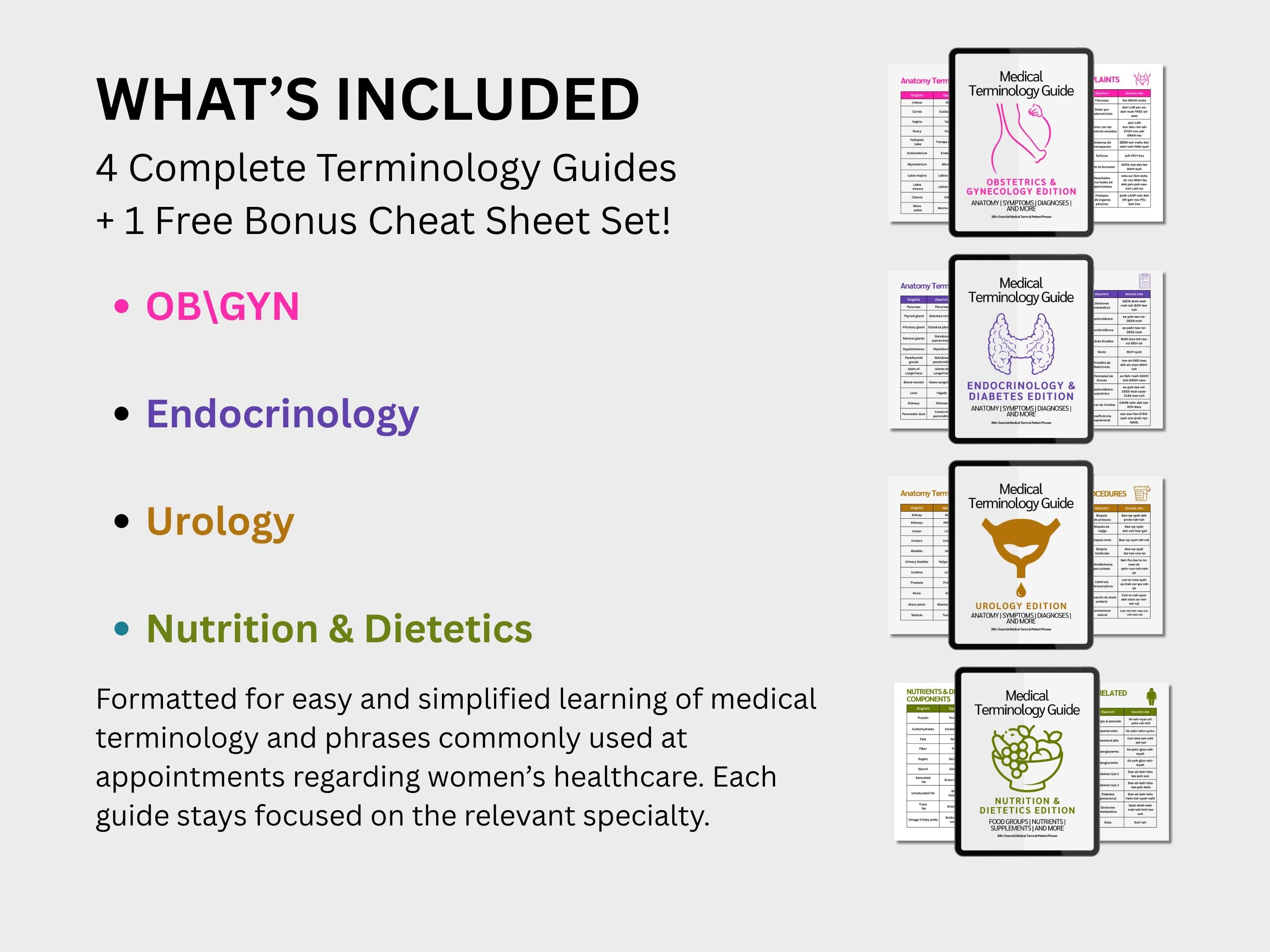 Women’s Health Study Guide Bundle: OB-GYN, Endocrinology & Diabetes, Urology and Nutrition Medical Terminology Guides in English Spanish
