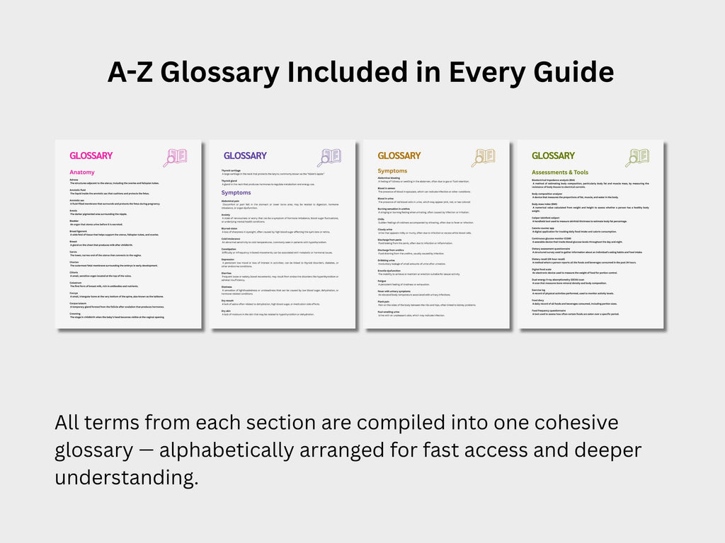 Women’s Health Study Guide Bundle: OB-GYN, Endocrinology & Diabetes, Urology and Nutrition Medical Terminology Guides in English Spanish