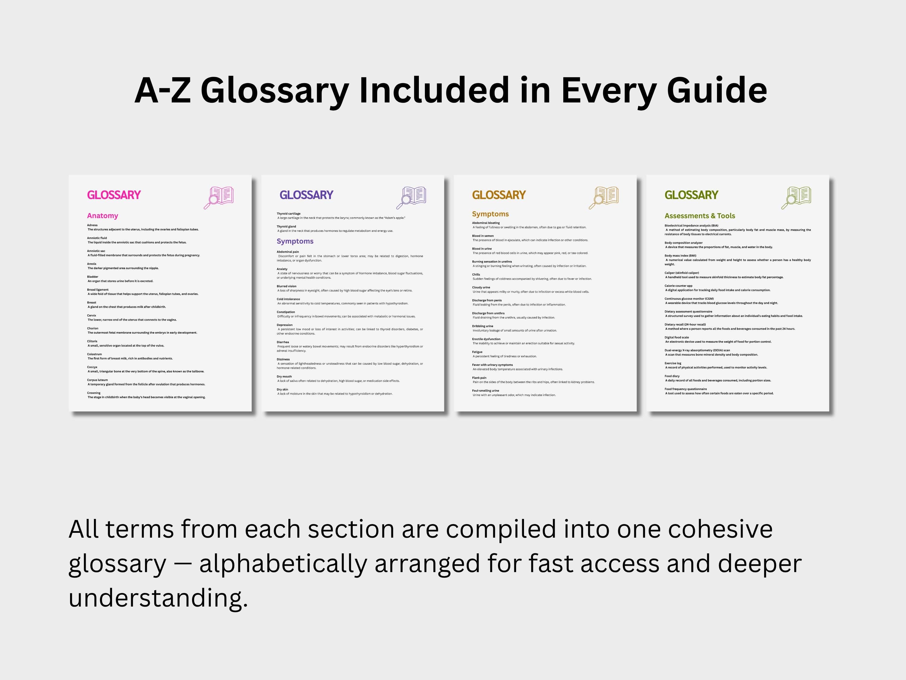 Women’s Health Study Guide Bundle: OB-GYN, Endocrinology & Diabetes, Urology and Nutrition Medical Terminology Guides in English Spanish